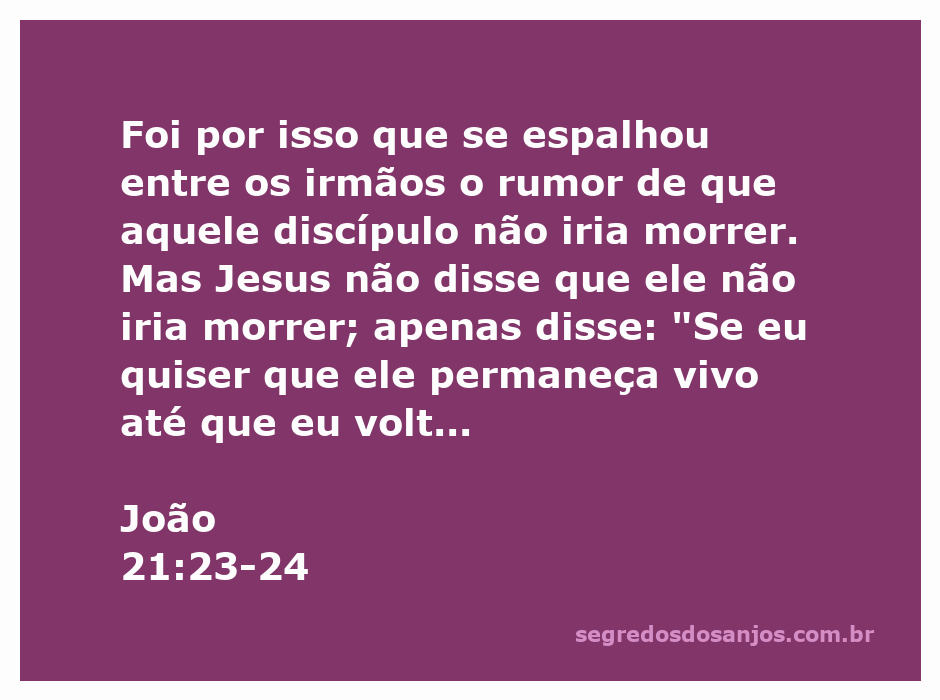 O discípulo amado de Jesus, testemunha fiel das suas palavras e atos, refletindo sobre o significado da vida e morte em Cristo.