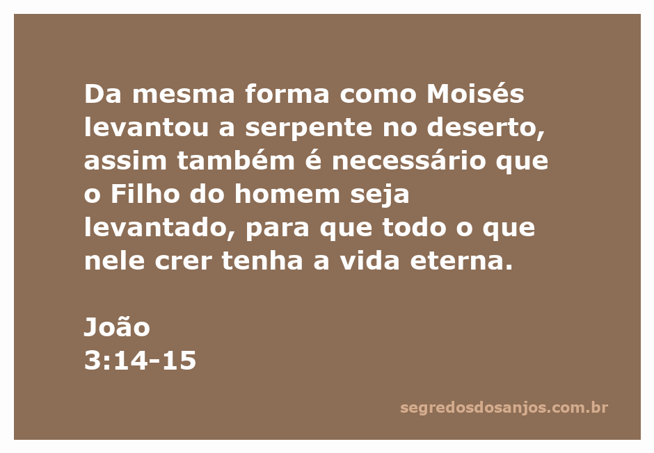 Imagem de uma serpente levantada em um deserto, simbolizando a passagem de João 3:14-15.