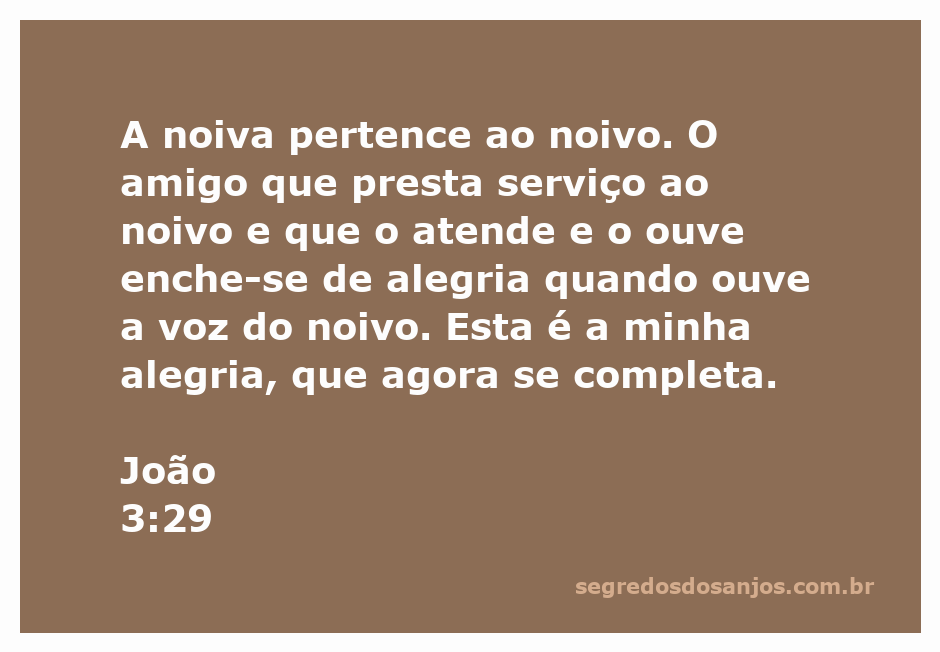 Imagem que representa a alegria do amigo do noivo ao ouvir a voz do noivo, simbolizando a relação entre Cristo e a Igreja.