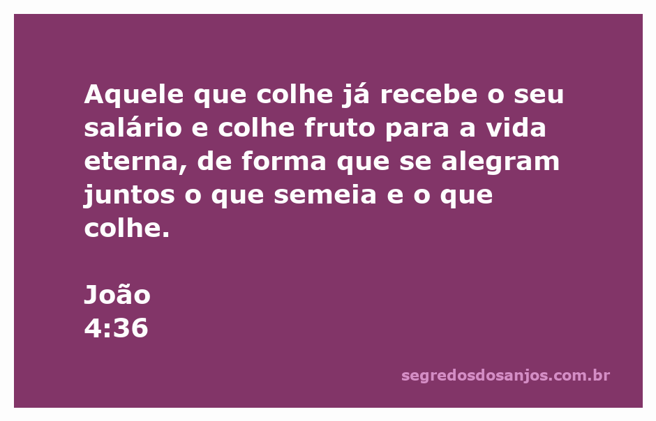Ilustração da colheita espiritual com a citação de João 4:36 sobre o salário e a alegria na colheita.