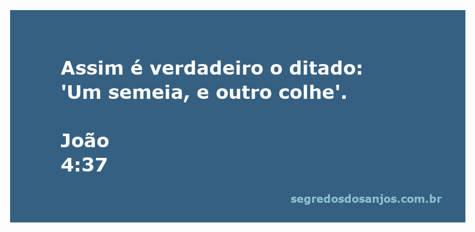 Imagem representativa do versículo João 4:37, que fala sobre o ato de semear e colher.