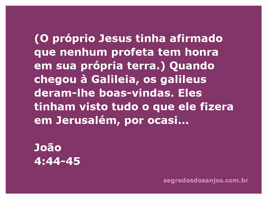 Imagem de Jesus recebendo boas-vindas dos galileus em Galileia, refletindo a passagem de João 4:44-45.