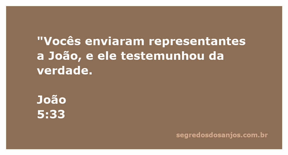 Representantes enviando uma mensagem a João Batista, que testemunha sobre a verdade.