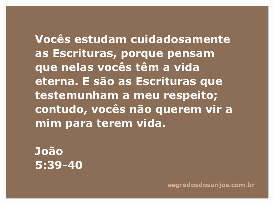 Ilustração de um grupo de pessoas estudando as Escrituras, refletindo sobre a mensagem de João 5:39-40.