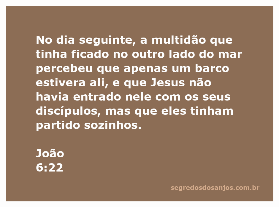 Ilustração da multidão observando o mar, simbolizando a busca por Jesus após a sua partida.