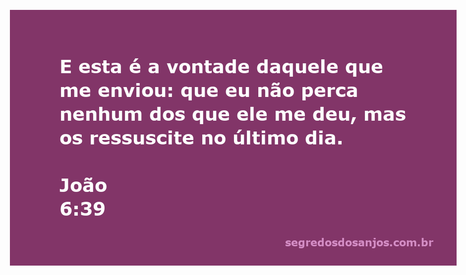 Ilustração de Jesus prometendo ressuscitar aqueles que lhe foram dados pelo Pai, conforme João 6:39.