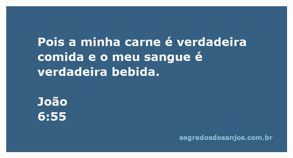Imagem representativa da Eucaristia, simbolizando a carne e o sangue de Cristo como verdadeira comida e bebida.