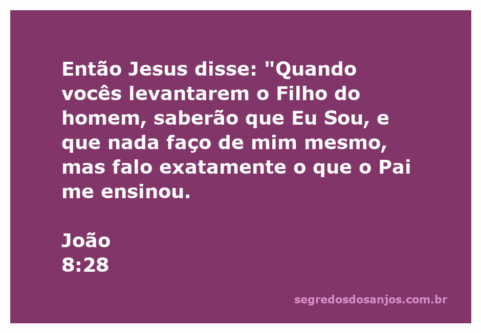Jesus falando sobre sua identidade e ensino divino em João 8:28