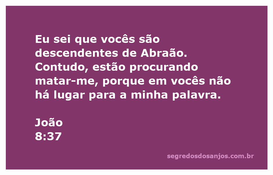 Imagem de um texto bíblico com a passagem de João 8:37 destacada, enfatizando a mensagem sobre a rejeição da palavra de Jesus.