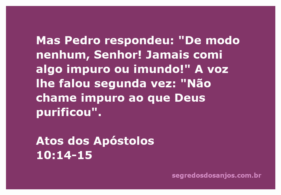Pedro se recusando a comer alimentos impuros, conforme orientação divina.