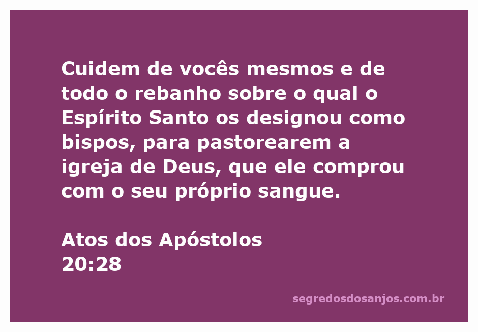 Ilustração de pastores cuidando do rebanho, representando Atos 20:28 da Bíblia.