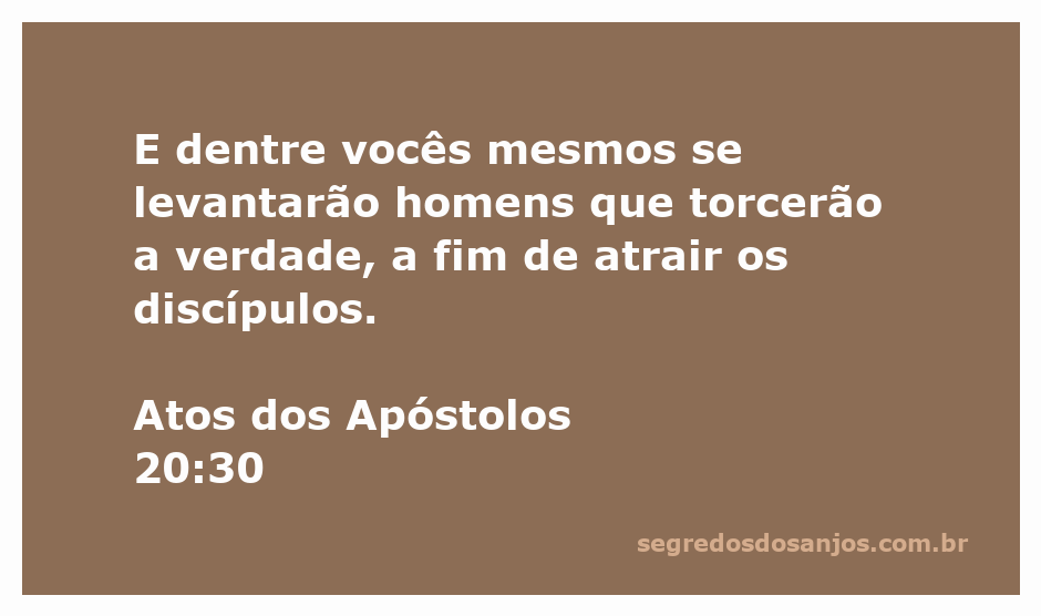 Ilustração de líderes se levantando entre os apóstolos, simbolizando a distorção da verdade na comunidade cristã.