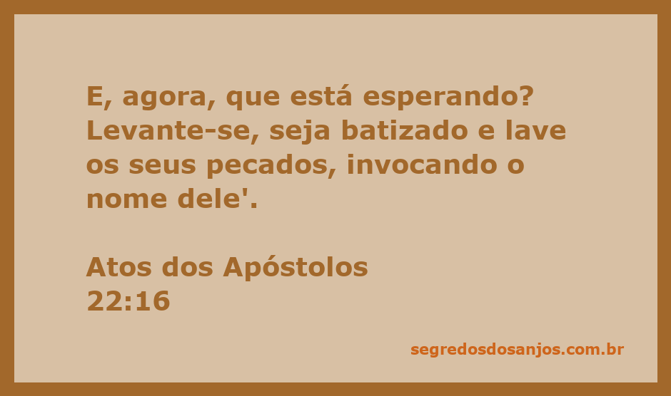 Imagem de uma pessoa sendo batizada, simbolizando a purificação dos pecados