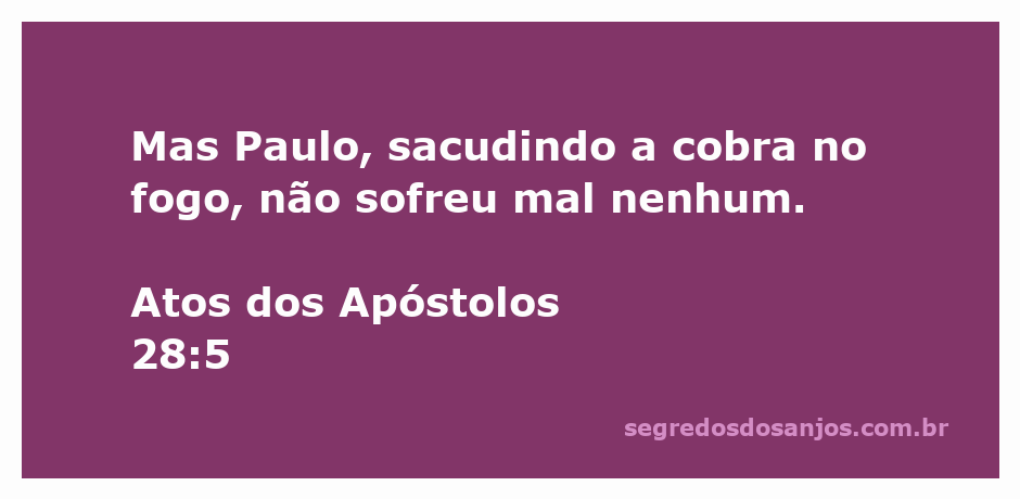 Paulo sacudindo uma cobra no fogo, representando proteção divina.