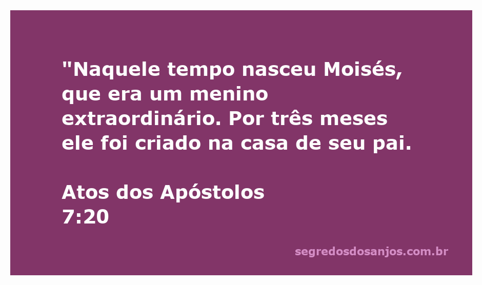 Ilustração do nascimento de Moisés, um menino extraordinário, sendo cuidado por sua família.