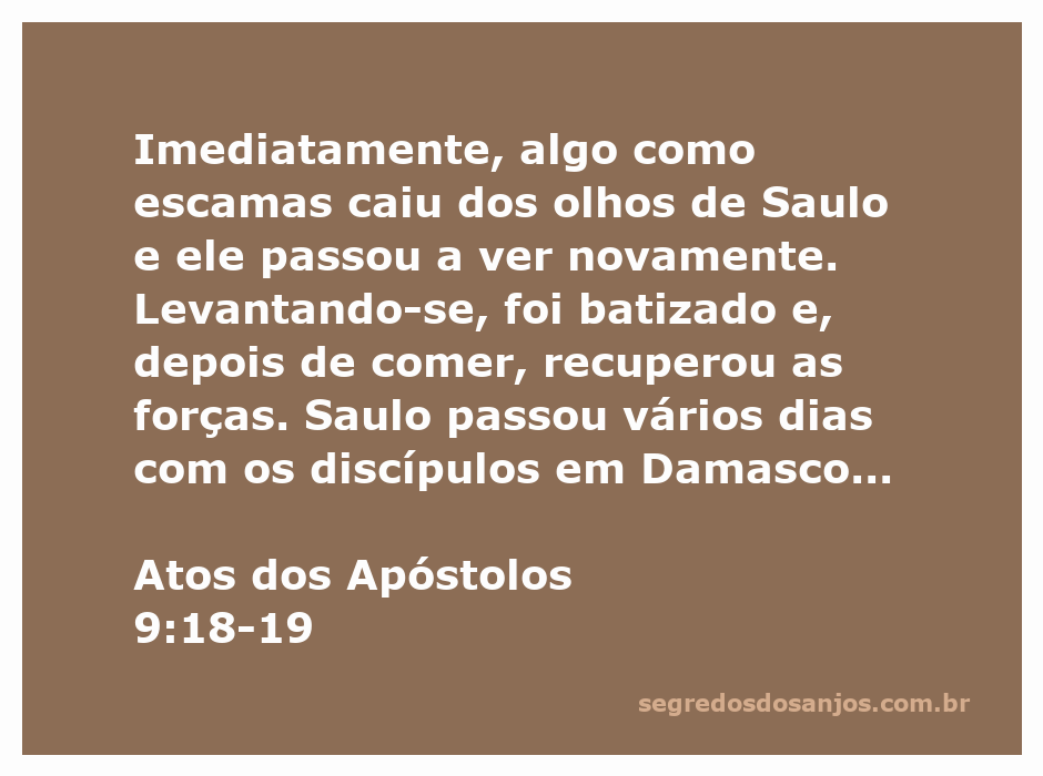 Saulo recebendo a visão novamente após a conversão, simbolizando a transformação espiritual e o batismo.