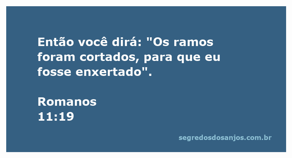 Imagem representativa de ramos sendo enxertados, simbolizando a passagem de Romanos 11:19 sobre a inclusão dos gentios na fé.