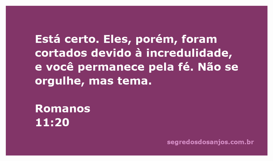 Versículo de Romanos 11:20 que fala sobre a incredulidade e a importância da fé.