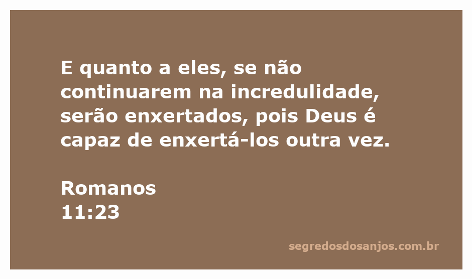 Imagem representando Romanos 11:23, que fala sobre a possibilidade de enxerto espiritual para aqueles que abandonam a incredulidade.