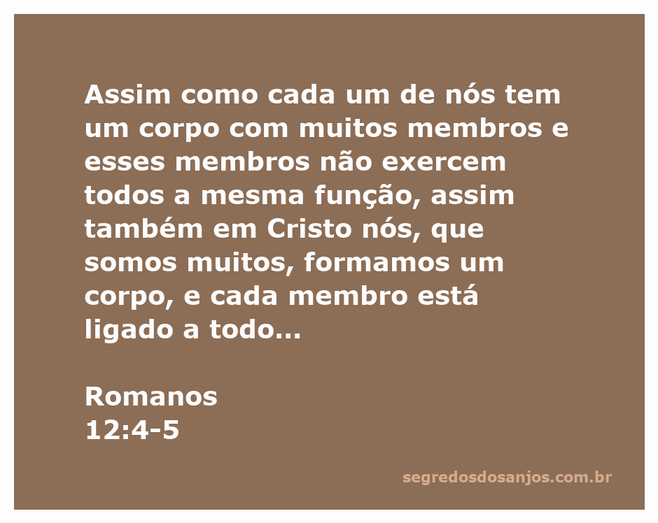 Ilustração do corpo humano representando a união dos membros em Cristo conforme Romanos 12:4-5.