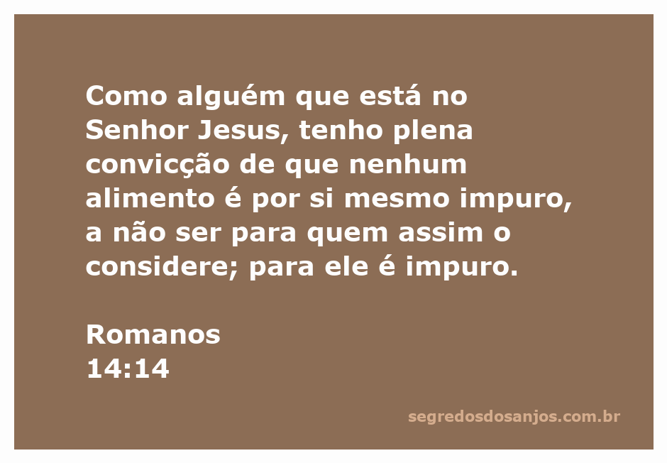 Versículo Romanos 14:14 sobre a pureza dos alimentos em Cristo