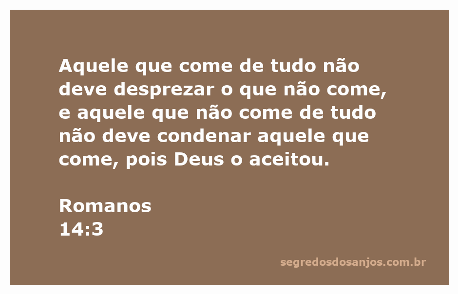 Imagem representativa do versículo Romanos 14:3, que fala sobre aceitação e respeito nas escolhas alimentares.