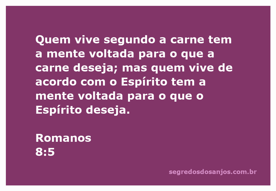 Ilustração da passagem Romanos 8:5, mostrando a dualidade entre viver segundo a carne e viver segundo o Espírito.