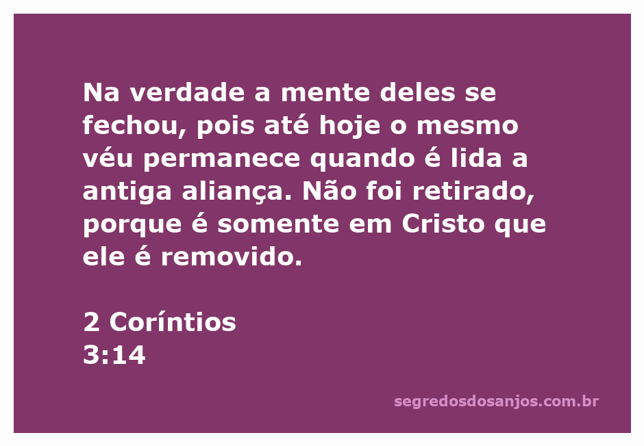 Ilustração representando o véu que simboliza a separação entre a antiga aliança e a revelação em Cristo, acompanhado do versículo de 2 Coríntios 3:14.