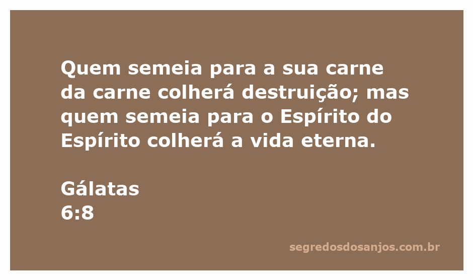 Ilustração do versículo Gálatas 6:8 sobre semeadura e colheita, mostrando a diferença entre colher destruição e vida eterna.