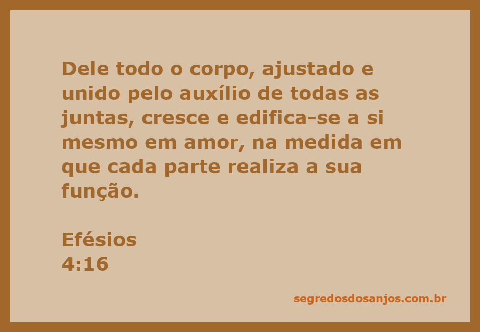 Ilustração do corpo de Cristo, representando Efésios 4:16, mostrando como cada parte contribui para o crescimento e edificação em amor.