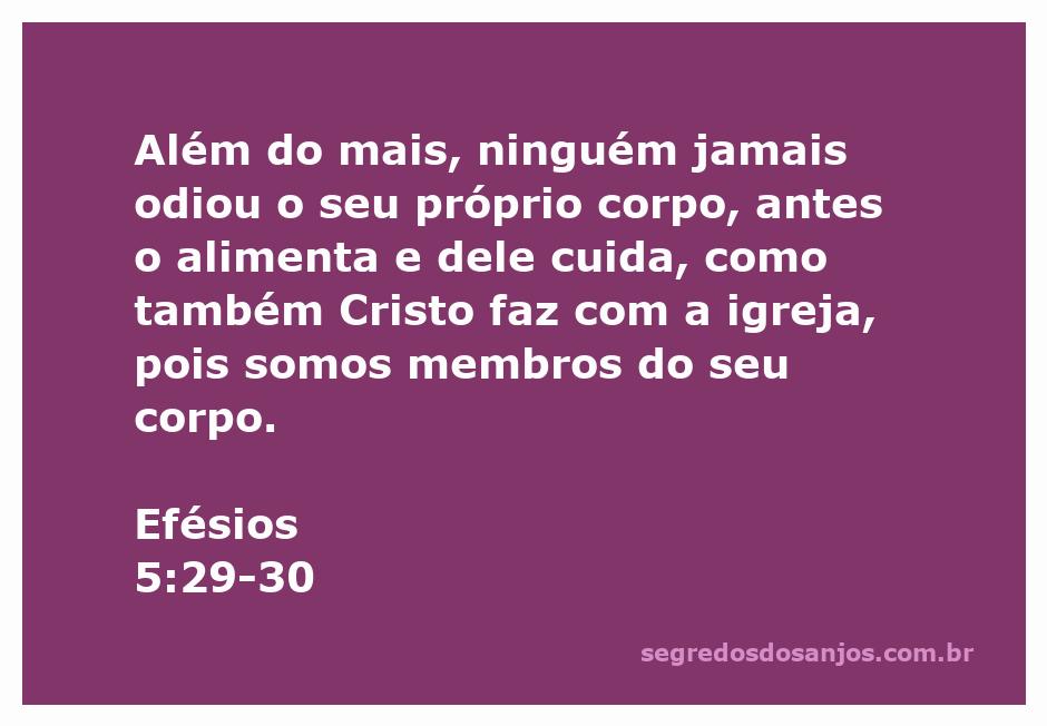 Imagem representativa do amor e cuidado que Cristo tem pela Igreja, simbolizando a relação entre o corpo e a alma.