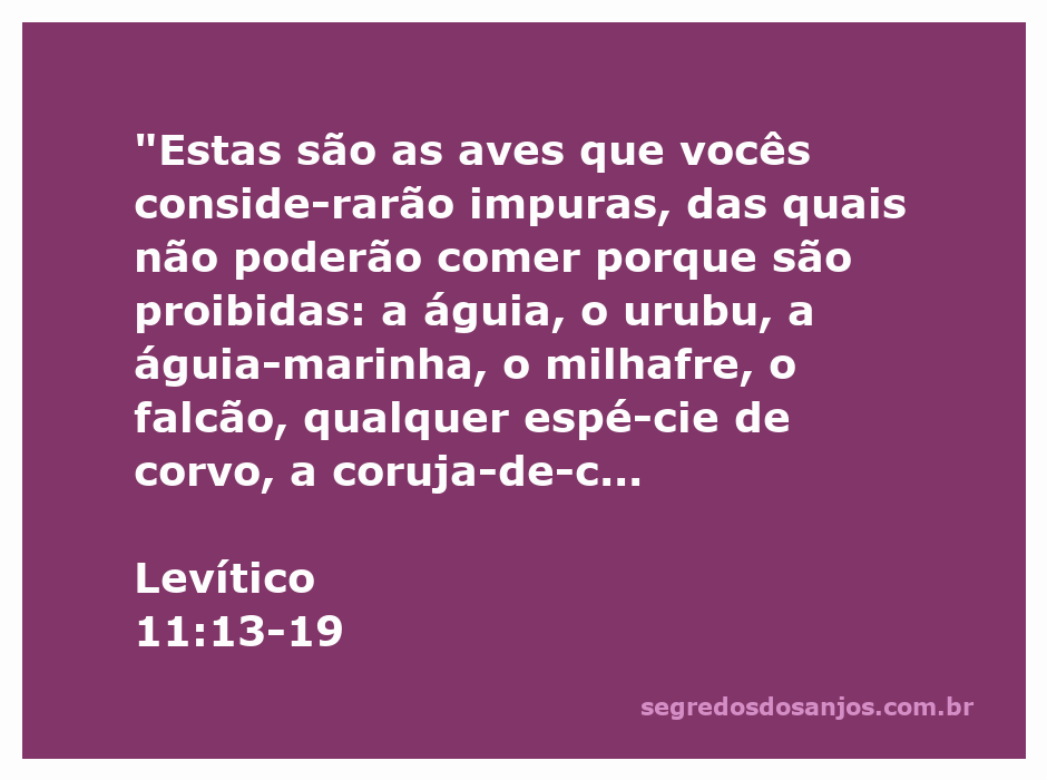 Imagem das aves consideradas impuras conforme Levítico 11:13-19, incluindo águias, corujas e morcegos.