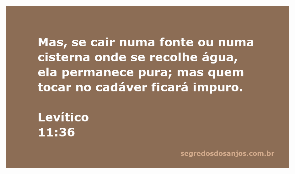 Imagem representativa da pureza da água em contraste com a impureza associada ao contato com cadáveres, inspirada no versículo Levítico 11:36.