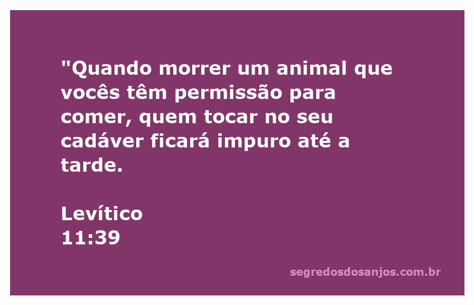 Ilustração de um animal cadáver representando a impureza segundo Levítico 11:39