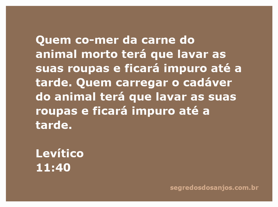 Ilustração de uma pessoa lavando roupas após entrar em contato com um animal morto, representando a purificação descrita em Levítico 11:40.