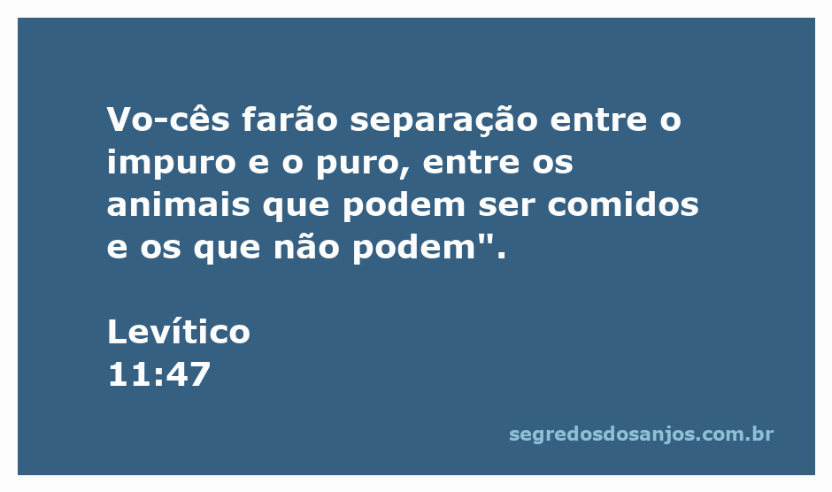 Ilustração da separação entre animais puros e impuros conforme Levítico 11:47.