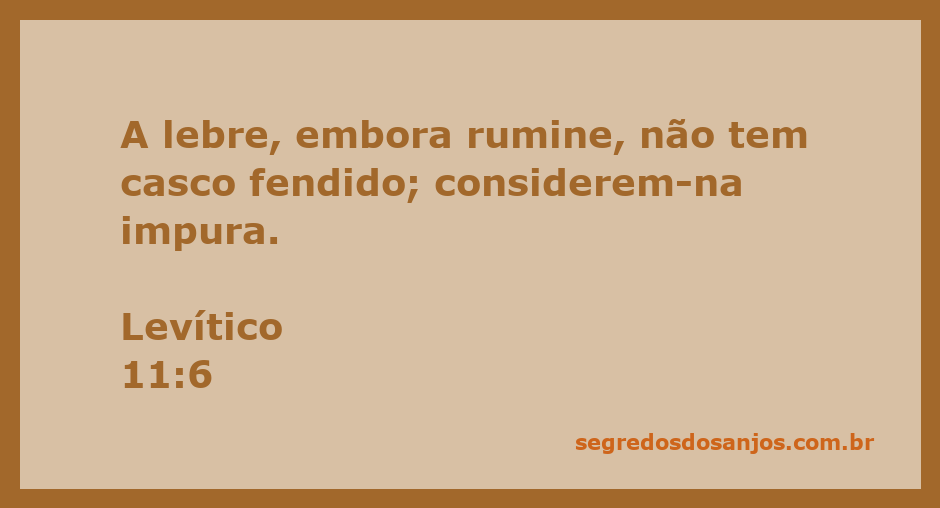 Imagem de uma lebre em um ambiente natural, destacando suas características físicas.