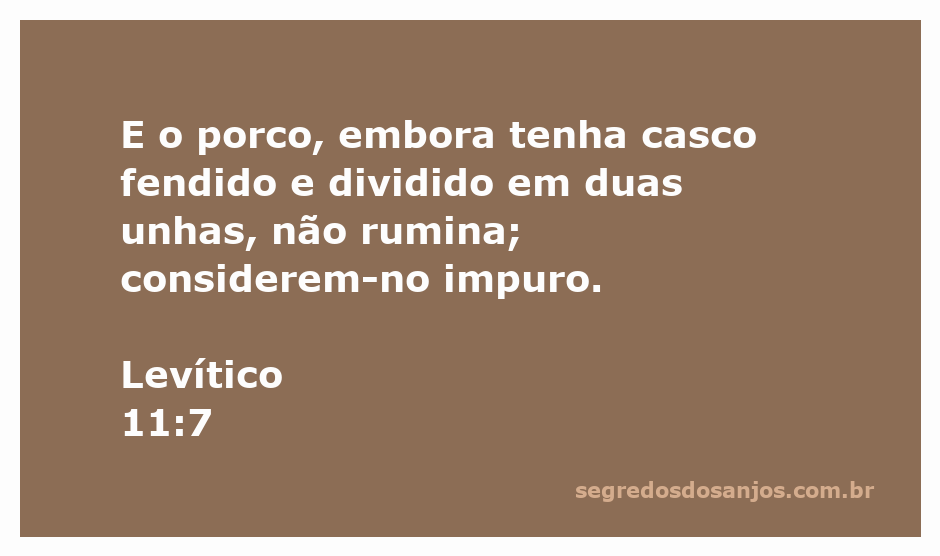 Imagem de um porco, destacando suas características físicas, como casco fendido e unhas divididas.