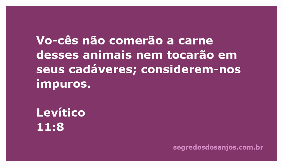 Ilustração de animais considerados impuros segundo Levítico 11:8, representando as restrições alimentares do Antigo Testamento.