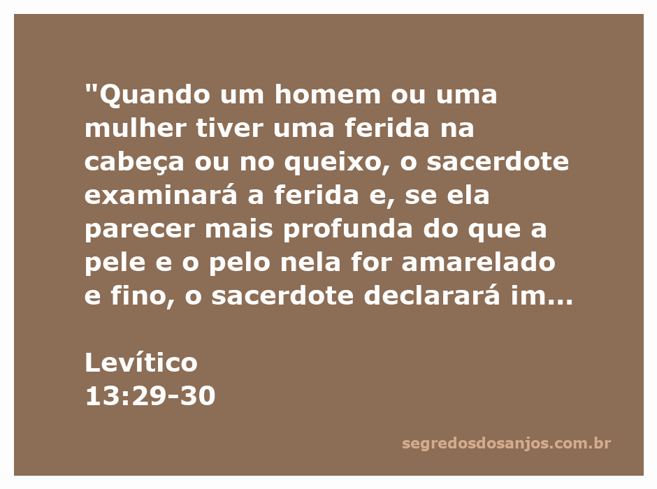 Imagem ilustrativa de um sacerdote examinando uma ferida na cabeça de uma pessoa, representando a passagem de Levítico 13:29-30.