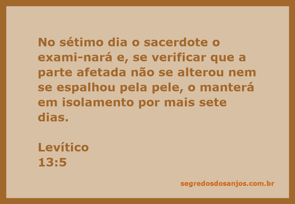 Um sacerdote examinando a pele de uma pessoa em isolamento, representando Levítico 13:5.