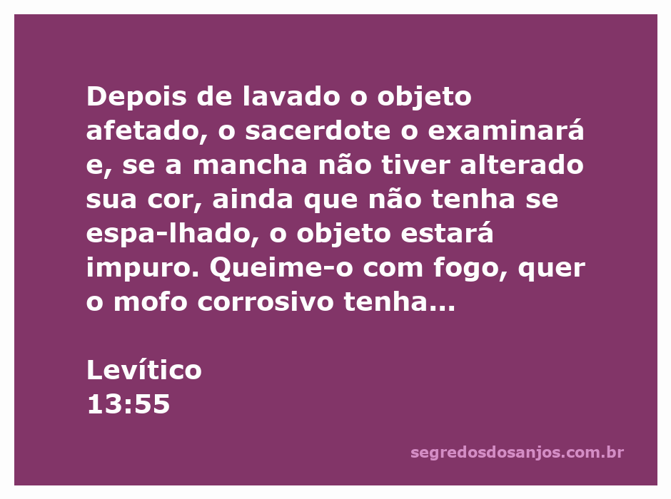 Imagem do sacerdote examinando um objeto afetado por mofo, conforme descrito em Levítico 13:55.