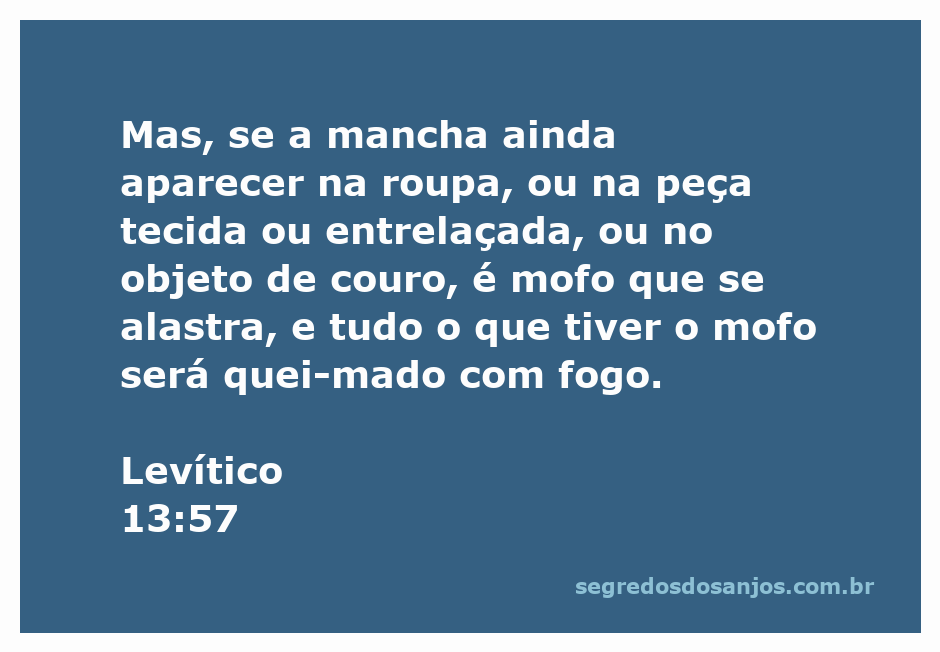 Imagem ilustrativa de roupas e objetos afetados por mofo, representando a passagem de Levítico 13:57.