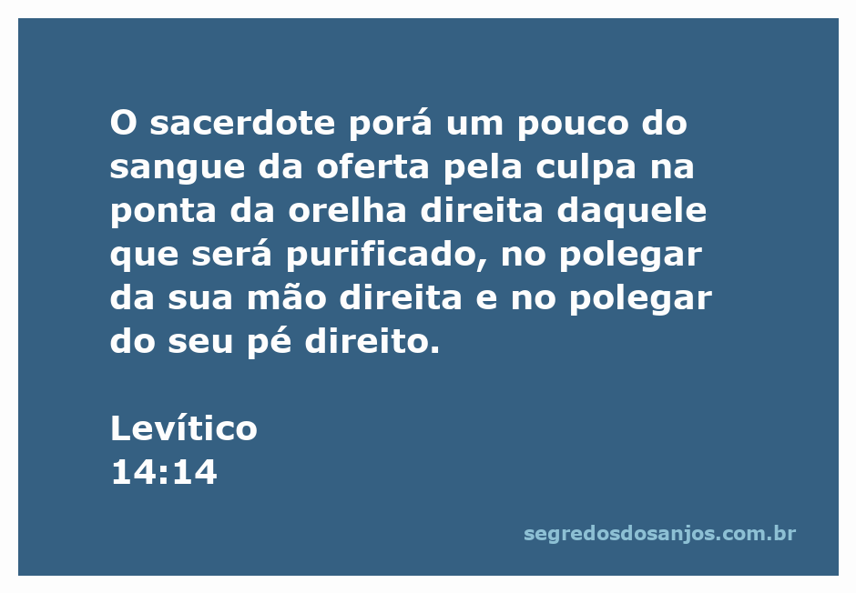 Imagem ilustrativa do ritual de purificação descrito em Levítico 14:14, mostrando a aplicação do sangue na orelha, mão e pé direitos de uma pessoa.