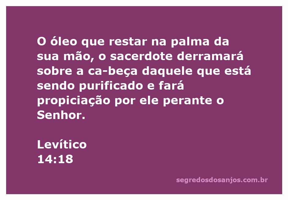 Sacerdote derramando óleo sobre a cabeça de uma pessoa sendo purificada, simbolizando a propiciação diante de Deus.