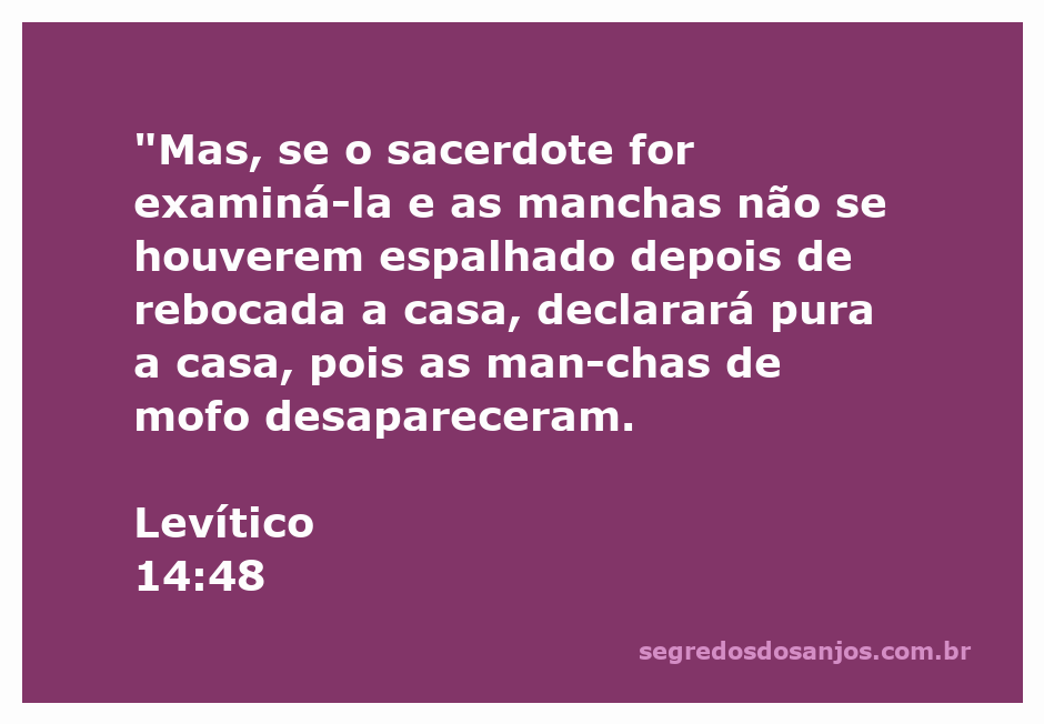 Imagem representando o sacerdote examinando uma casa com manchas de mofo