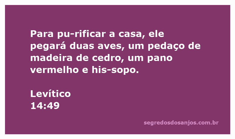 Ilustração da purificação da casa conforme Levítico 14:49, com duas aves, madeira de cedro, pano vermelho e hisopo.