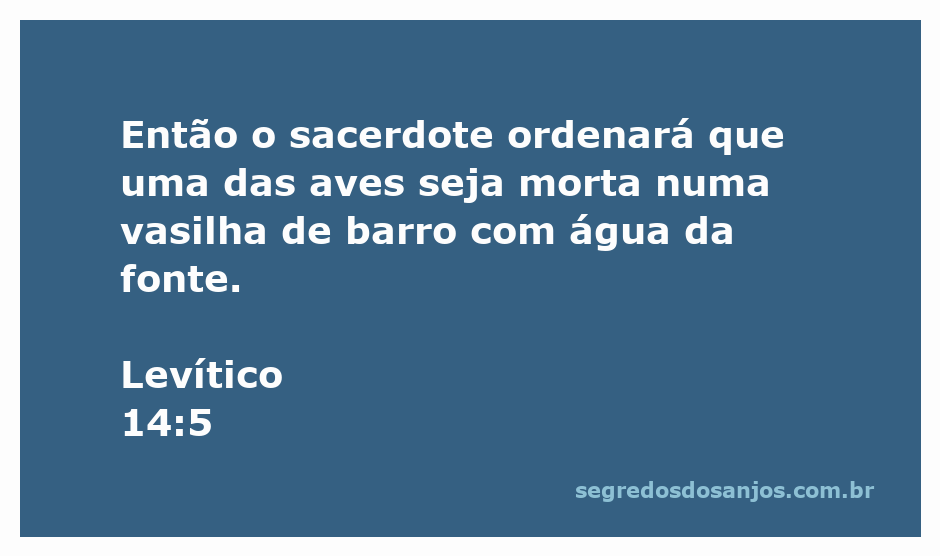 O sacerdote realizando o ritual de purificação com aves, conforme Levítico 14:5.