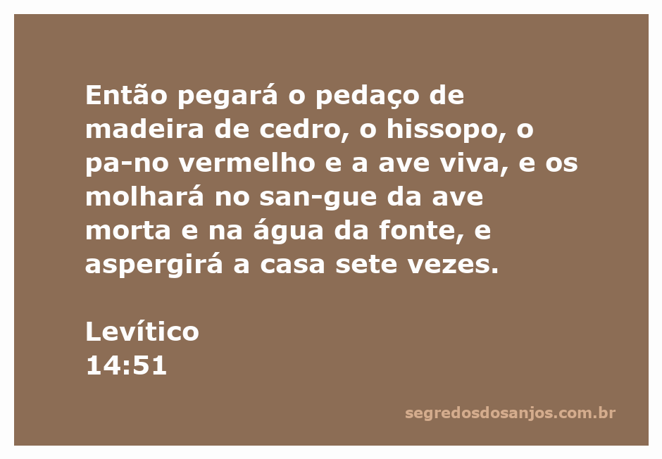 Imagem ilustrativa do ritual de purificação descrito em Levítico 14:51, mostrando cedro, hissopo, pano vermelho e uma ave viva.