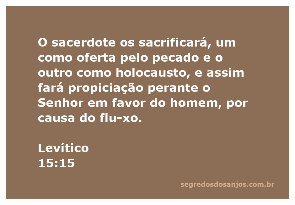 Sacrifício de um sacerdote conforme Levítico 15:15, representando a oferta pelo pecado e o holocausto.